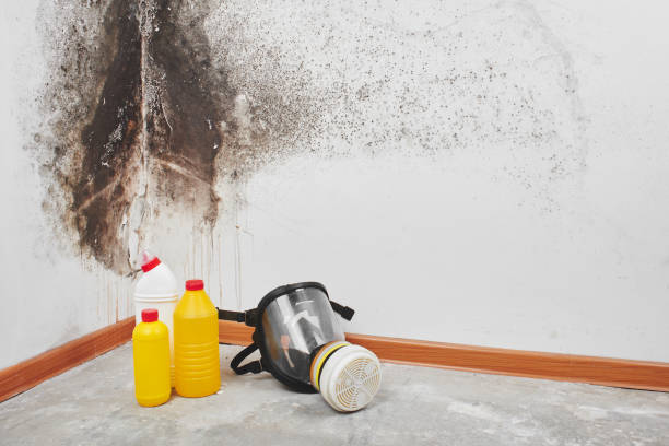 Water Damage Restoration in Garnett, KS