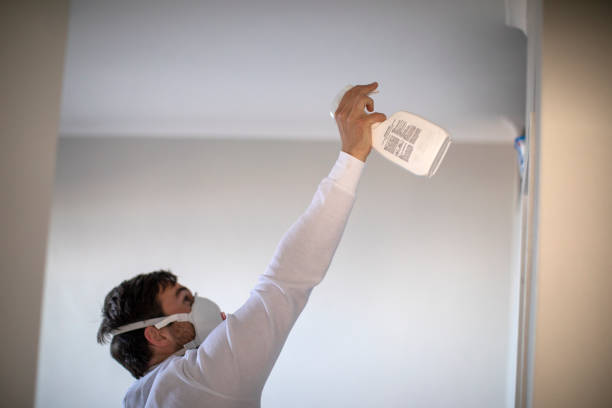 Best Certified Mold Removal  in Garnett, KS