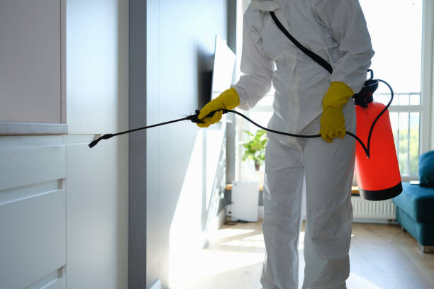 Certified Mold Removal in Garnett, KS