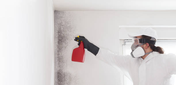 Best Residential Mold Removal  in Garnett, KS