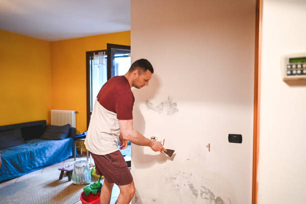 Best Mold Removal Near Me  in Garnett, KS